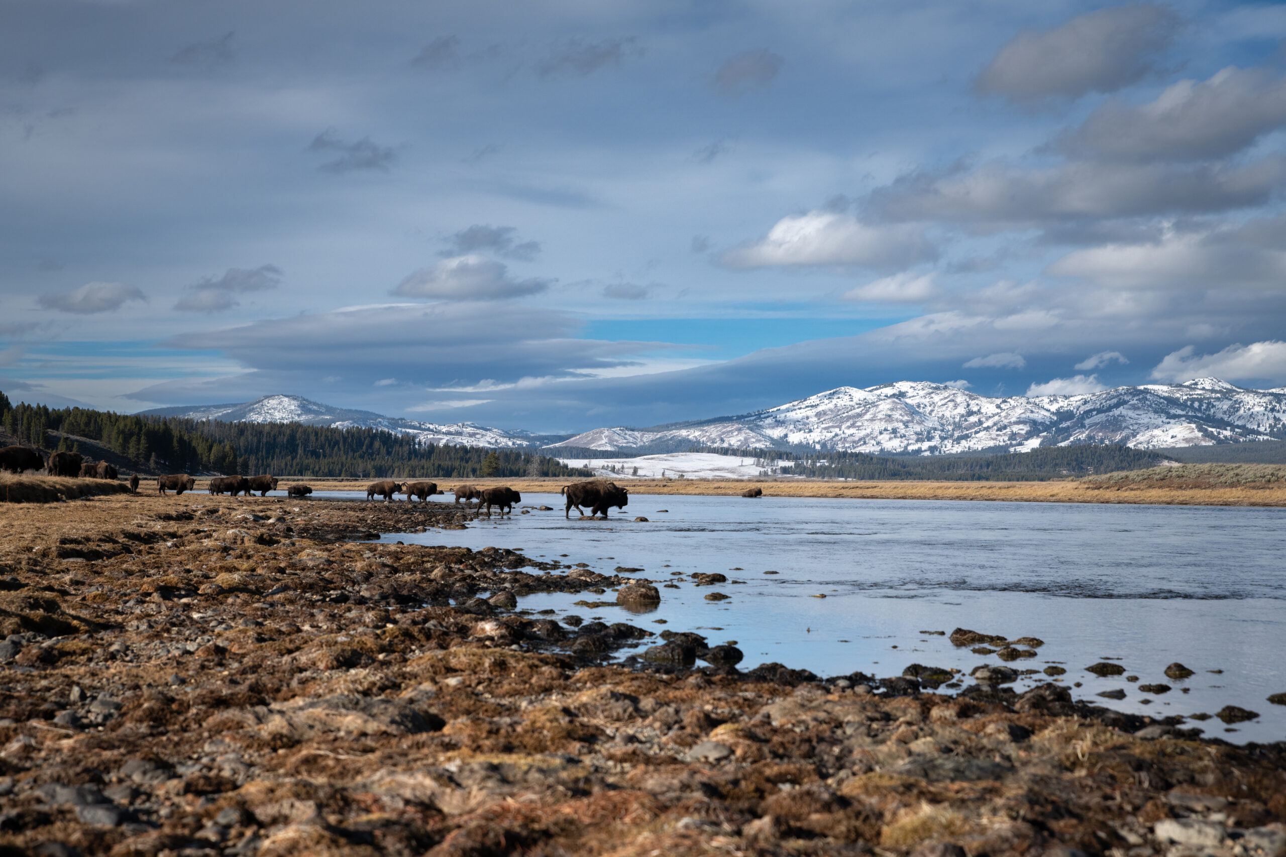Yellowstone Tour Guides
